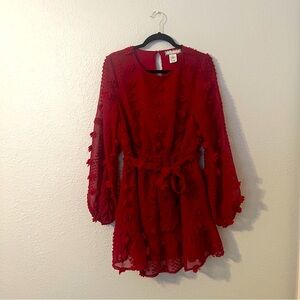 Burgundy Fit and Flare Dress with Textured Rosettes